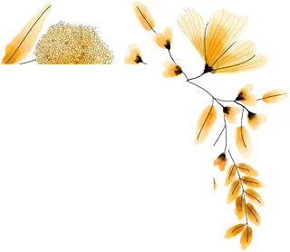 Dried floral accent top right